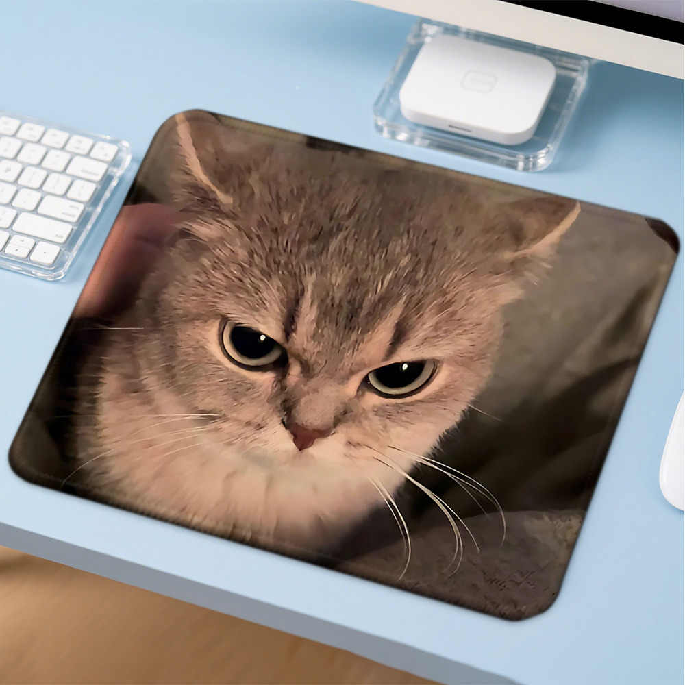 Mousepad Kawaii Engraçado de G - Gaming Accessories Companies avaliação e preço